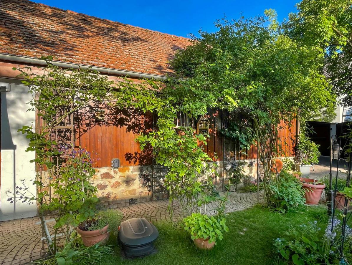 Ferienhaus Burgblick Munzenberg Экстерьер фото